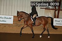 06spring_0090 proof