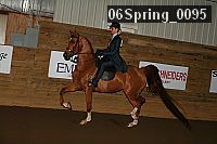 06spring_0095 proof