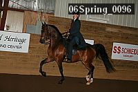 06spring_0096 proof