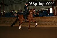 06spring_0099 proof