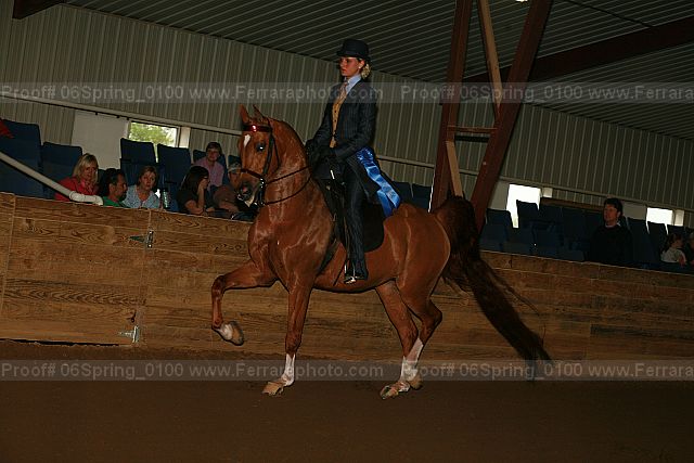 Proof 06spring_0100