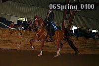 06spring_0100 proof