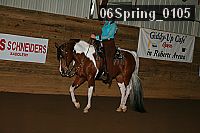 06spring_0105 proof