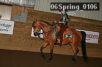 06spring_0106 proof