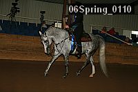06spring_0110 proof