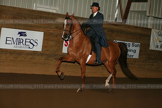 Proof 06spring_0113