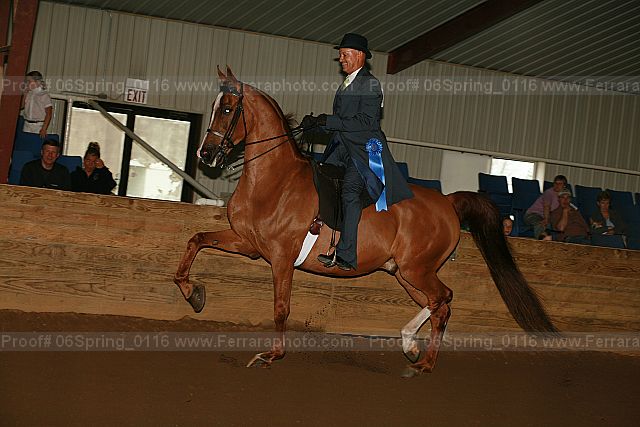 Proof 06spring_0116
