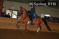 06spring_0116 proof