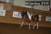 06spring_0119 proof