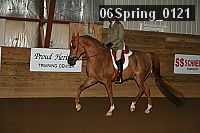 06spring_0121 proof