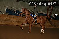 06spring_0127 proof