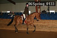 06spring_0133 proof