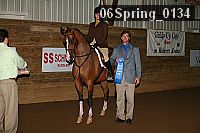 06spring_0134 proof