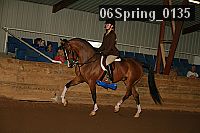 06spring_0135 proof