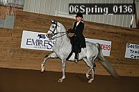 06spring_0136 proof