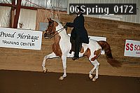 06spring_0172 proof