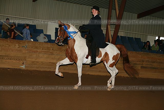 Proof 06spring_0174