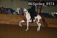06spring_0174 proof