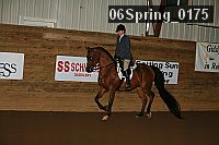 06spring_0175 proof