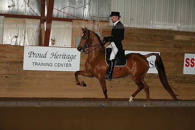 Proof 06spring_0185