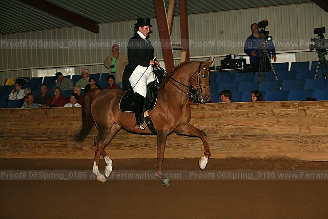Proof 06spring_0186