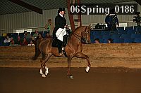 06spring_0186 proof