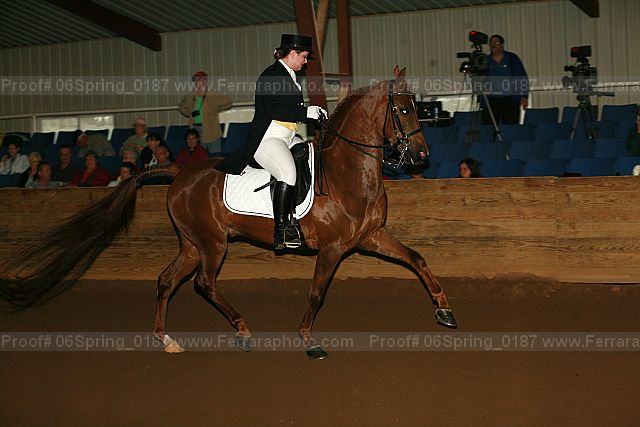 Proof 06spring_0187