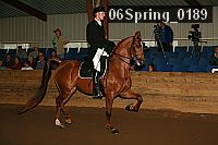 06spring_0189 proof