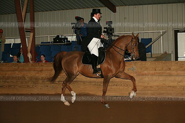 Proof 06spring_0190