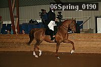 06spring_0190 proof