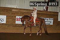06spring_0193 proof