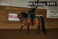 06spring_0195 proof