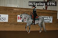 06spring_0196 proof