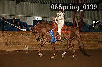 06spring_0199 proof