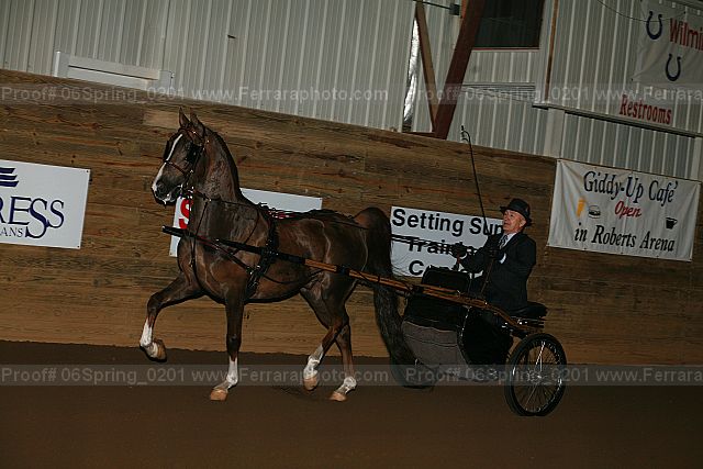 Proof 06spring_0201