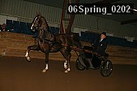 06spring_0202 proof