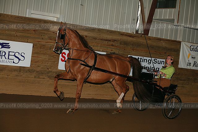 Proof 06spring_0203
