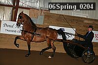 06spring_0204 proof