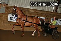 06spring_0206 proof