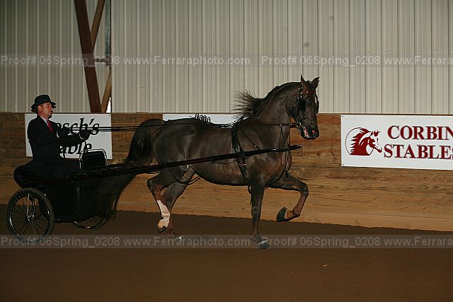 Proof 06spring_0208
