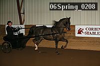 06spring_0208 proof