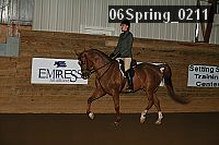 06spring_0211 proof