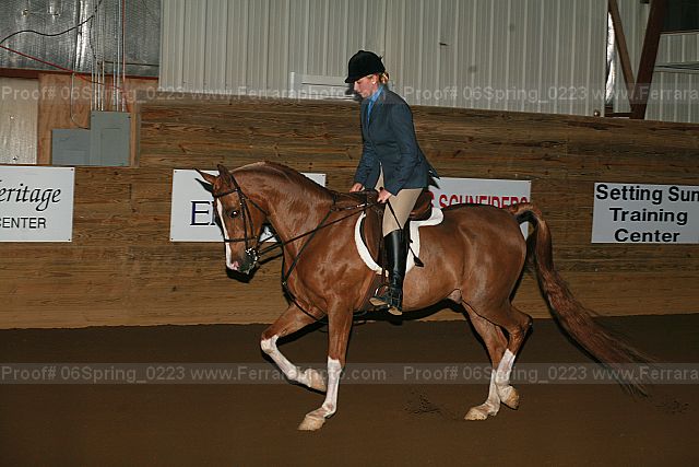 Proof 06spring_0223
