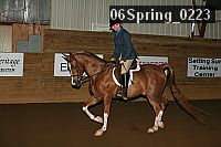 06spring_0223 proof
