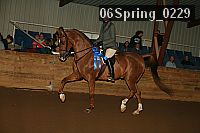 06spring_0229 proof