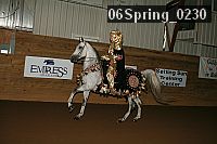 06spring_0230 proof