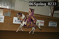 06spring_0233 proof