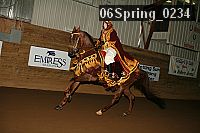 06spring_0234 proof