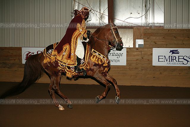 Proof 06spring_0236