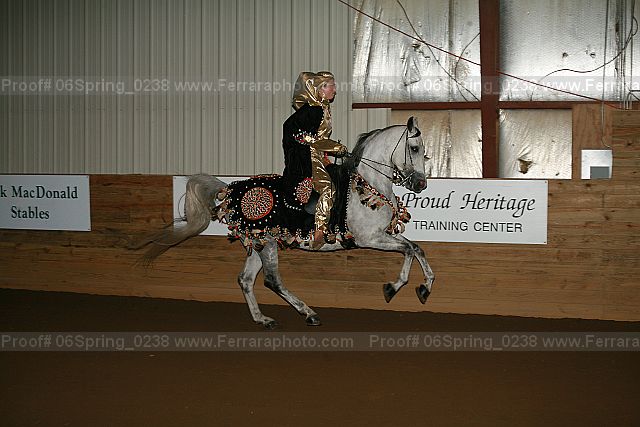 Proof 06spring_0238